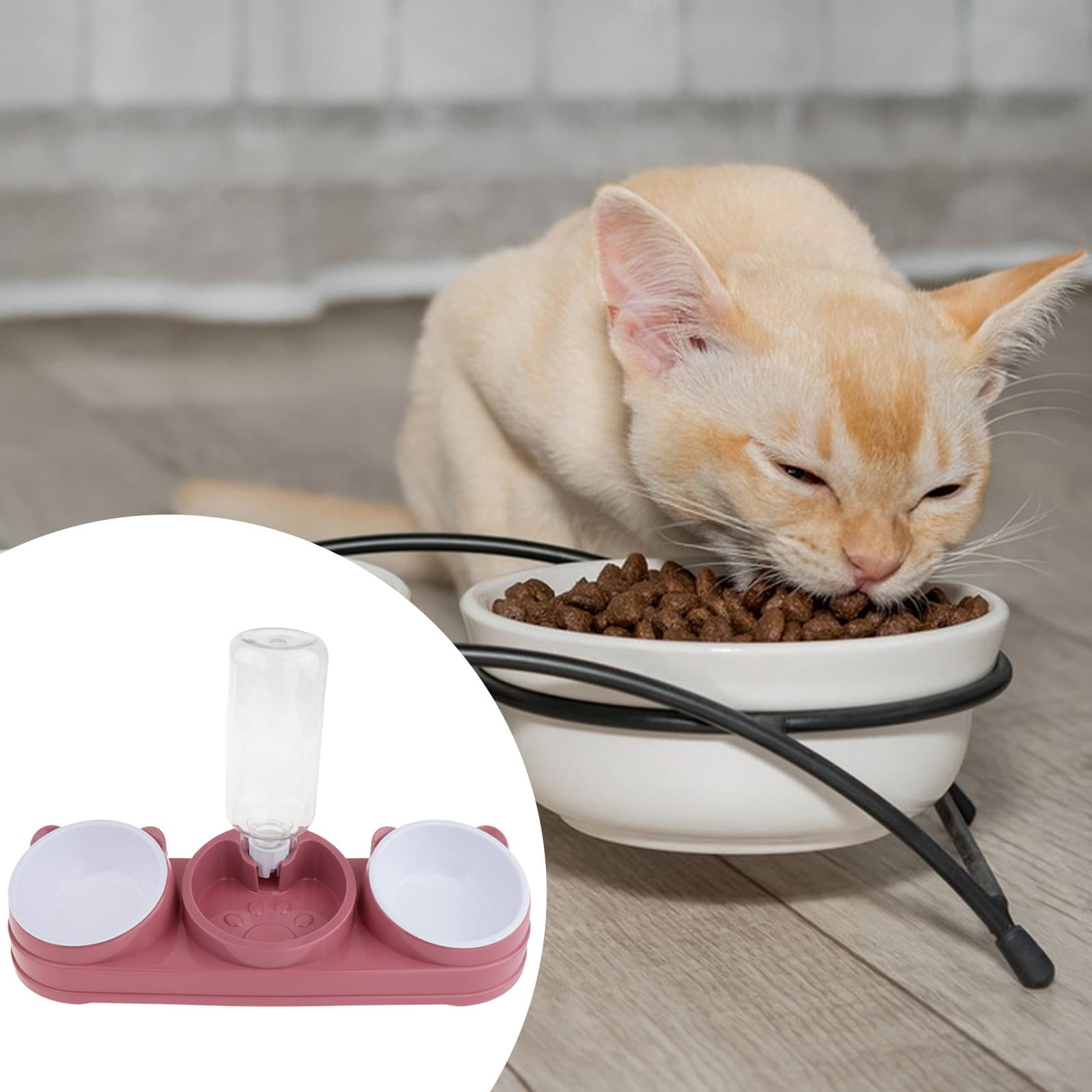 Cat Food Bowl Water Bottle Elevated Design PP Material for Feeding Indoor Kittens and Puppies
