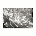 thumbnail image 2 of Gango Home Decor Fancy Flower I by Alan Hausenflock (Printed on Paper); One 36x24in Fine Art Paper Giclee Print, 2 of 4