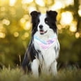 thumbnail image 5 of PhooArto Galaxy Unicorn Sky Dog Bandanas, 2 Pack Soft Washable Pet Scarf Triangle for Large Dogs Puppies and Cats, 5 of 7