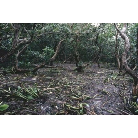 Surreal Mossy Camouflage 4 Piece Car Truck Two-Tone Black Camo Plush Carpet Floor mats Forest Pattern Black Color