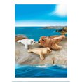 thumbnail image 3 of Foca con Bebés Playmobil Family Fun 3 Piezas, 3 of 4