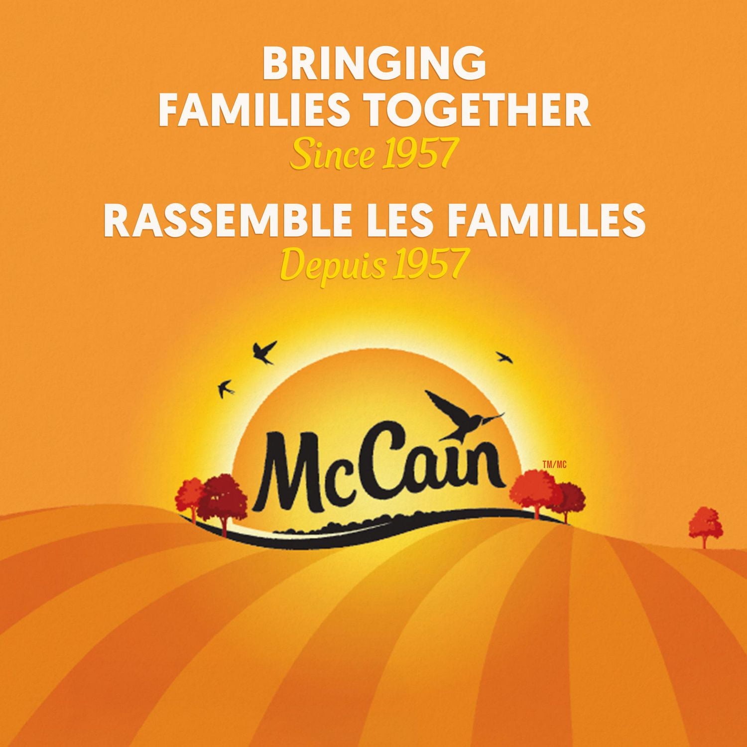 Frites de patates douces Style Bistroᴹᴰ McCain