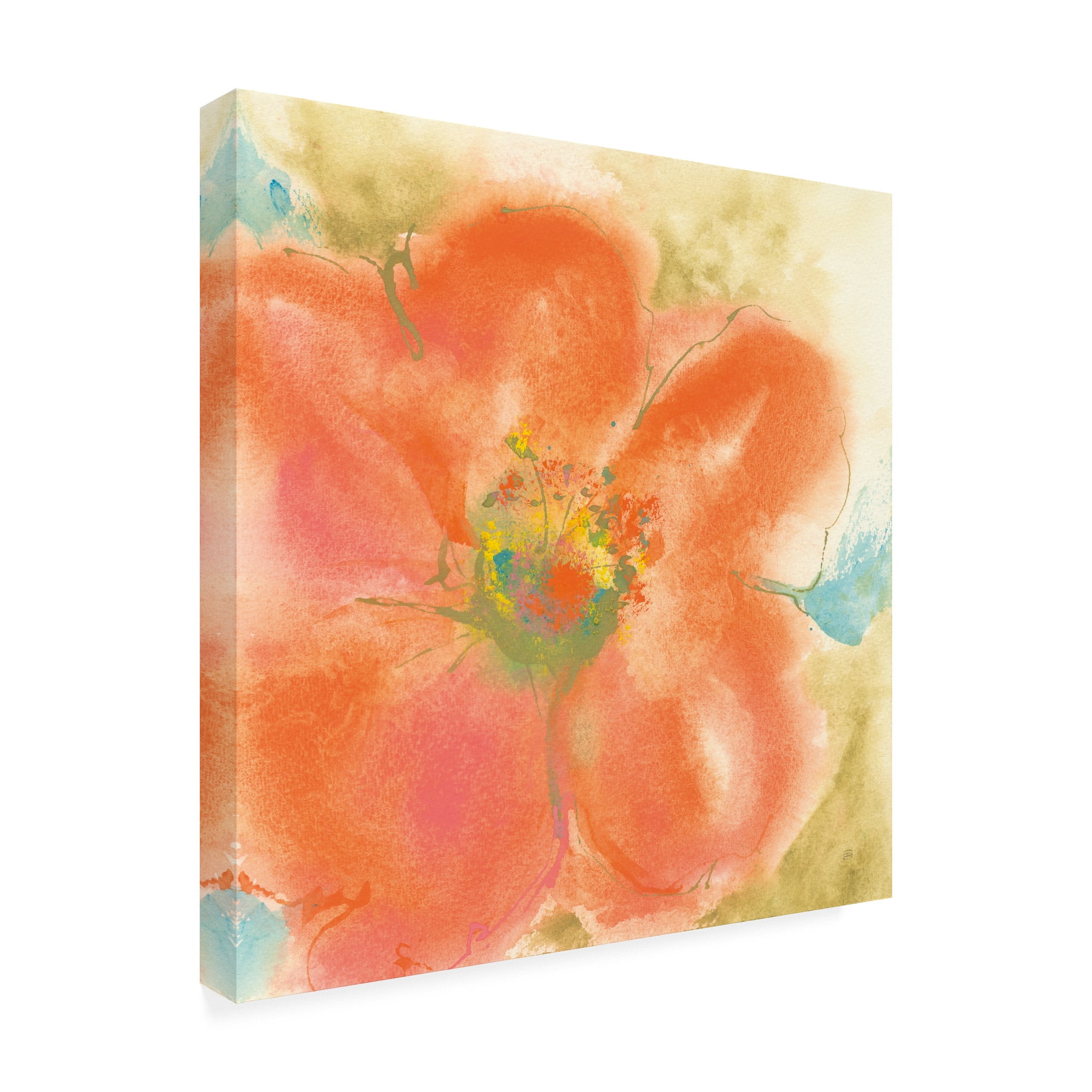 Trademark Fine Art 'Coral Poppy II' Canvas Art by Chris Paschke