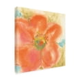thumbnail image 2 of Trademark Fine Art 'Coral Poppy II' Canvas Art by Chris Paschke, 2 of 3