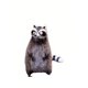 thumbnail image 1 of Genérico Wool Felt Familiars – Quirky Handmade Companions, Anxious Mother Opossum, Handmade Needle Felted Cat Dolls, Humorous Wool Animals Figurines Tabletop Decor, Mini Soft Big-Eyed Decor for Home, 1 of 5