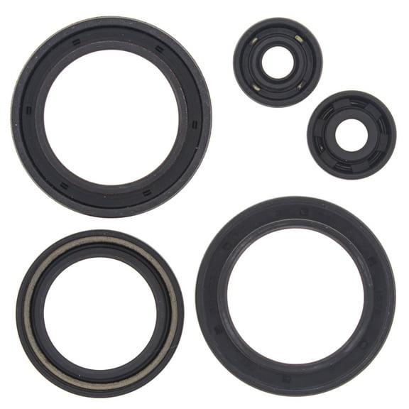 New Engine Oil Seal Kit Compatible with Polaris 350L 4x4 350cc 1993