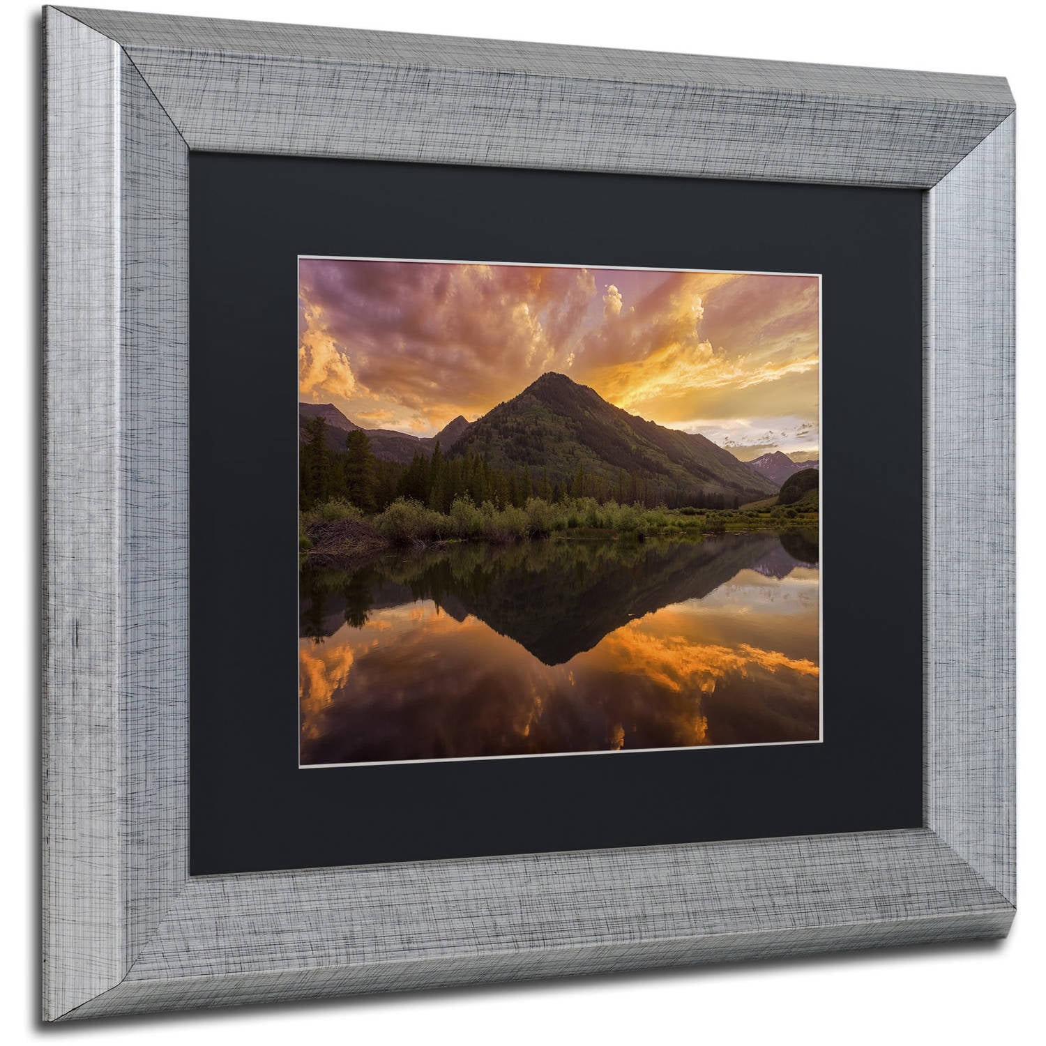 Trademark Fine Art "Orange Majesty" Canvas Art by Michael Blanchette Photography Black Matte, Silver Frame