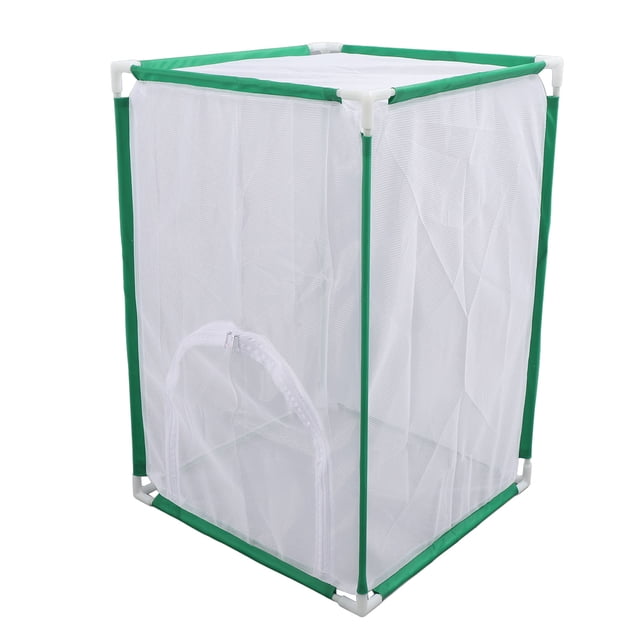 Cage à Papillons, Structure Robuste Simple à Nettoyer pour Intérieur Extérieur