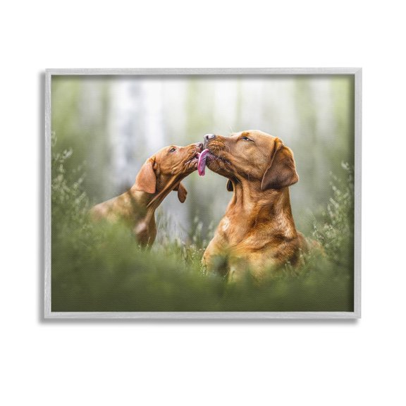 Stupell Industries Playing Puppies in Grass Animals & Insects Painting Gray Framed Art Print Wall Art, 14 x 11