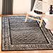 thumbnail image 3 of Safavieh Adirondack Collection ADR110A Tapis de Salon Résistant aux Taches, 4' x 4' Carré, Noir / Argent, 3 of 5