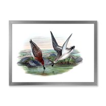 Designart 'Vintage Countryside Two Birds In Lake' Farmhouse Framed Art Print