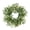 Multicolor-2B Home Decor, variant on karymi 19.6 Inch Lifelike Artificial Eucalyptus Leaf and Berry Wreath, Realistic Plastic Greenery Door Hanging for Home Garden Decor Gifts for Men