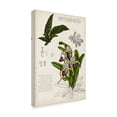 thumbnail image 2 of Trademark Fine Art 'Orchid Field Notes I' Canvas Art by Naomi McCavitt, 2 of 4