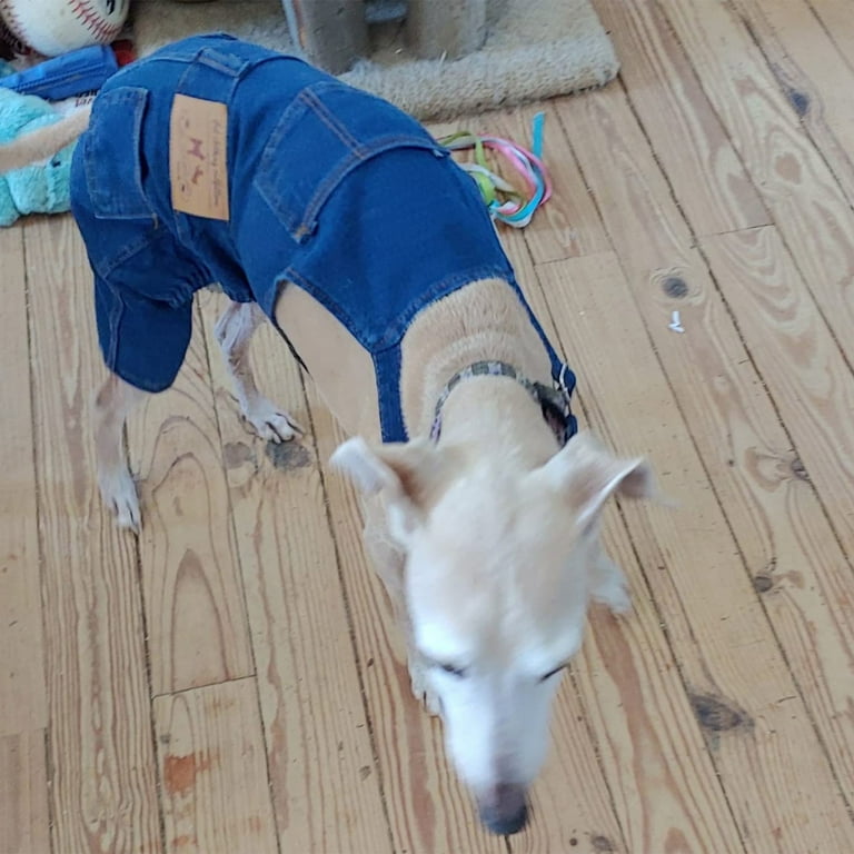 Pet Denim Clothes Soft Blue Jeans Denim Cute Pet Dog Puppy Coat