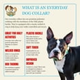 thumbnail image 5 of Country Brook Petz® Orange Hawaiian Everyday Dog Collar, Extra Small, 5 of 7