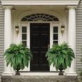 thumbnail image 3 of Honmine Artificial Flowers, Faux Fern Leaves Bouquet, Simulation Plants for Home Decor, Plastic Greenery Stems, Fake Ferns for Vase, 3 of 9