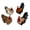 Multicolor, variant on Things2Die4 Things2die4 Dog Pot Hangers Set of 3 Resin Puppy Planter Figurines, 3.5 in Tall