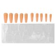 thumbnail image 3 of False Nail, Portable Compact Fake Nail Full Cover DIY For Nail Salon For Home Travel For Birthday Party ANGGREK Otros, 3 of 8