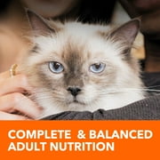 (2 pack) Iams Proactive Health Chicken Flavor Dry Cat Food, 22 Lb Bag
