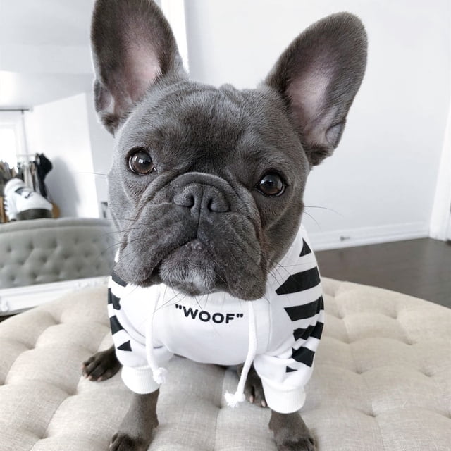 Sudadera con capucha para perros de moda para mascotas, ropa deportiva para perros de otoño e invierno