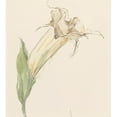 thumbnail image 3 of Sientje Mesdag Van Houten 12x13 Black Modern Framed Museum Art Print Titled - Bloem (1844 - 1909), 3 of 5