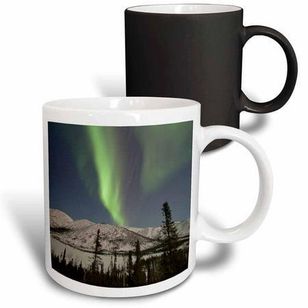 

3dRose Aurora borealis Northern Lights Alaska USA - US02 HRO0382 - Hugh Rose Magic Transforming Mug 11oz