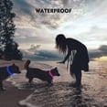thumbnail image 4 of Miaocao Flashseen LED Dog Collar, USB Rechargeable Glowing Lighted Up Collar, Cuttable Water-Resistant TPU Safety Collar Lights for Small Medium Large Dogs, 4 of 7