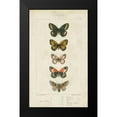 thumbnail image 2 of Pauquet 10x14 Black Modern Framed Museum Art Print Titled - Pauquet Butterflies VI, 2 of 5