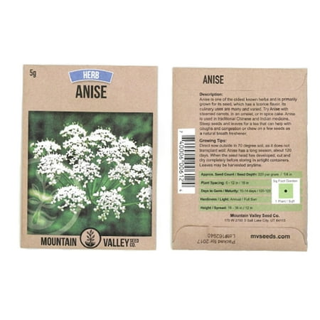 5 Min Herb - Anise Seed - 5 Gram Packet - Approx 33,000 Seeds - Non-GMO, Heirloom - Culinary & Medicinal Herb Garden Seed - Pimpinella anisum