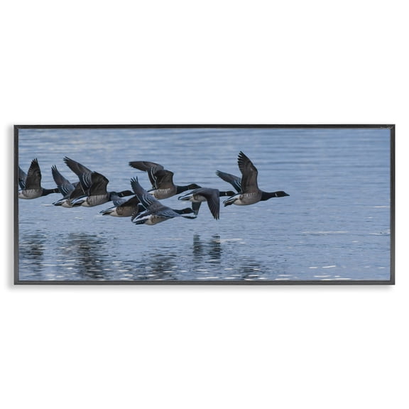 Stupell Industries Coastal Flying Geese Wings Flapping Calm Ocean Water Black Framed Giclee Art, 24 x 10, by Nancy Crowell