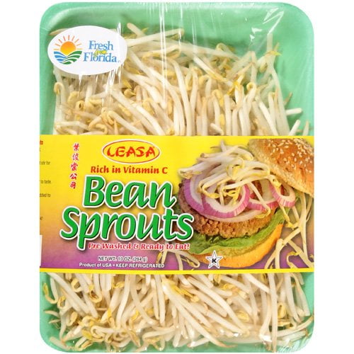 fresh bean sprouts fresh bean sprouts