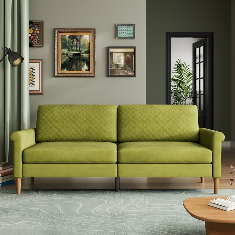 65'' Sofa,2-Seater Sofa Couch,Foam Pocket Spring Hybrid