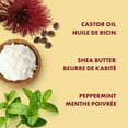 thumbnail image 2 of Shea Moisture Jamaican Black Castor Oil Shampoo, 2 of 9