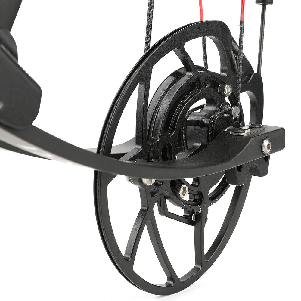 AME 29 Inch Carbon Fiber Compound Bow 0-70lbs Adjustable 345FPS Adult Hunting Target Archery