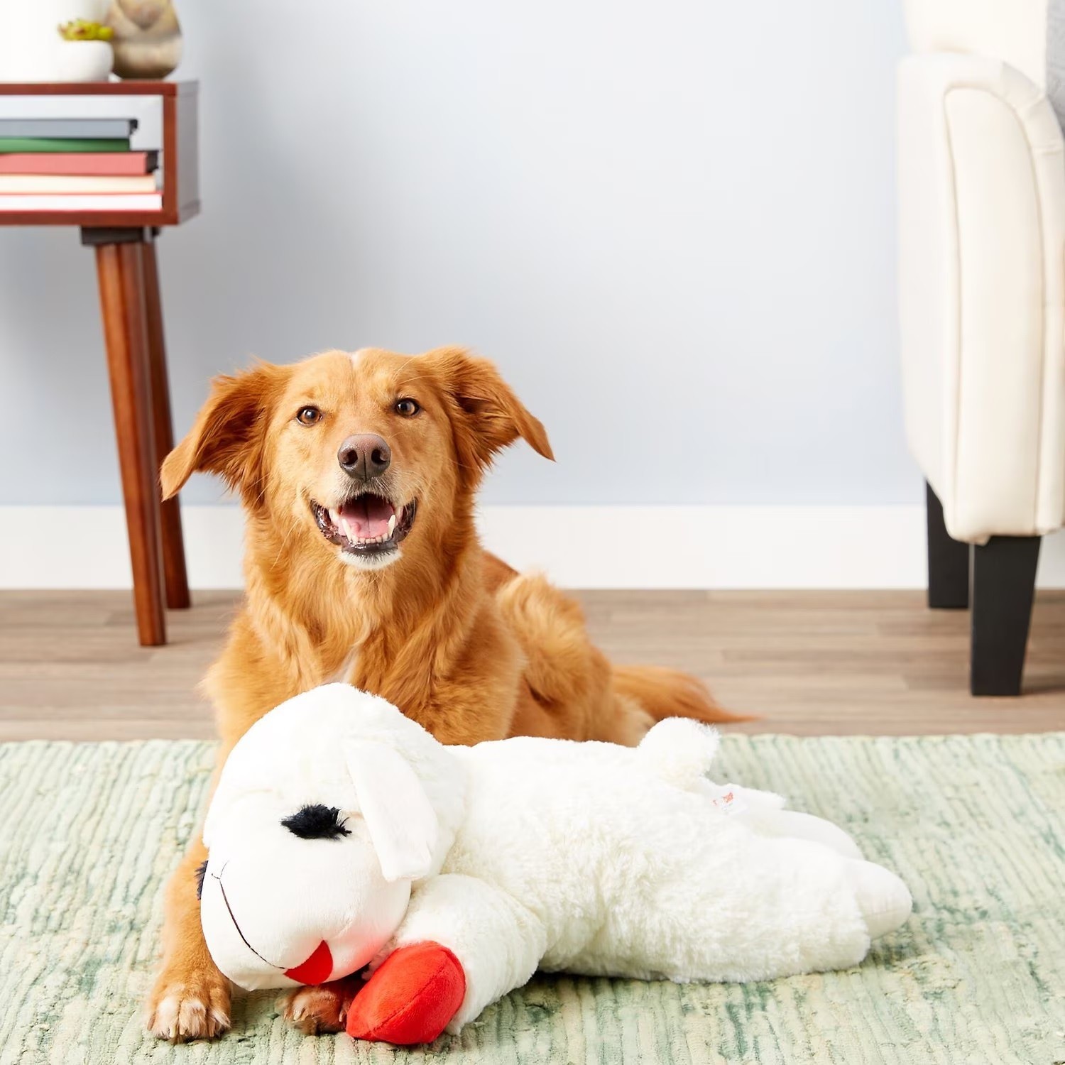 Jumbo Dog Toys Soft Stuffed Plush Cuddle and Play Animal Themes for All Breeds (White LambChop)