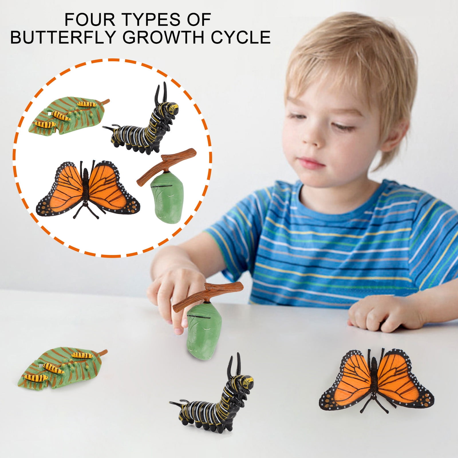 EGNMCR 4 Piece Insect Figure Life Cycle Plastic Brood To Period Paper puzzle Birthday Gifts for Kids