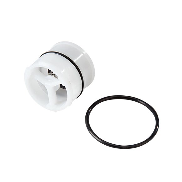Watts 3/4 Pouces 007M2 Trousse de Première Vérification d'Assemblage 0887045 887045 RK 007M2 CK1 1re #1