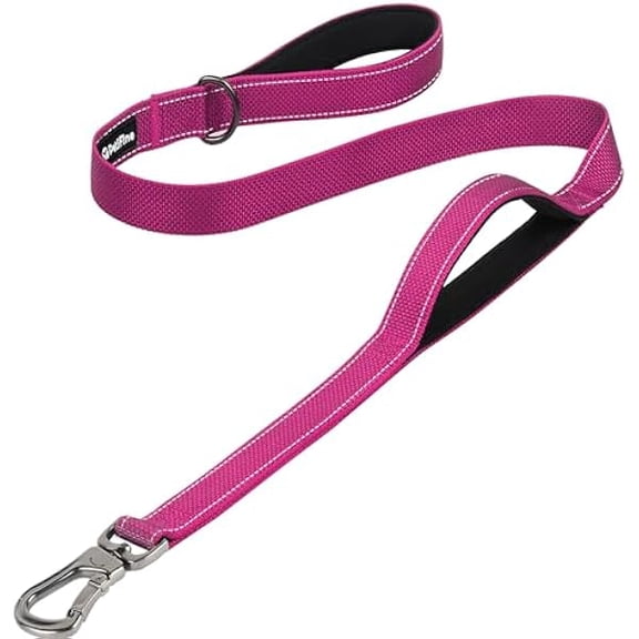 Eryueer 4FT Heavy Duty Dog Leash with Soft Padded Double Handle, Durable Strong Clasp Dog Leashes, Reflective Nylon Walking Lead for Large,Medium,Small Breed Dogs, Rose