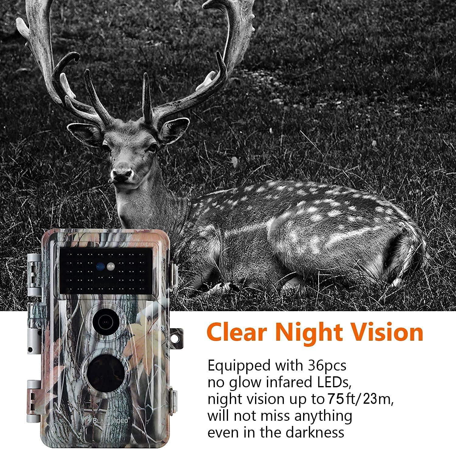 BlazeVideo Professional Game and Deer Trail Camera with Night Version 24MP Photo 1296P Video Wildlife Tree Cam Motion Activated No Glow IP66 Waterproof for Outdoor Tracking and Indoor Security