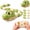 Green, variant on RC Snake Toy for Kids, DIY Segmented Building Remote Control Snake with Flexible Joints, Educational STEM Toy for Toddlers Boys Girls Age 3+, White
