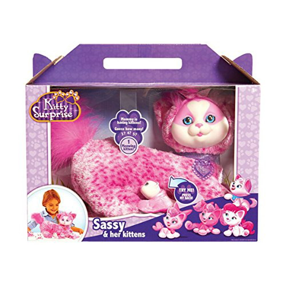 kitty surprise plush stores