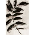 thumbnail image 2 of Watts, Eva 13x18 Black Ornate Wood Framed with Double Matting Museum Art Print Titled - Leaves II, 2 of 4