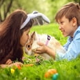 thumbnail image 5 of Azul + Rosa - Juego de 2 arneses para conejos, arnés para gatitos, arnés tipo chaleco ajustable para gatos, correa para perros pequeños, arnés de seguridad para cachorros y otras mascotas pequeñas., 5 of 5