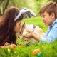 thumbnail image 5 of Azul + Rosa - Juego de 2 arneses para conejos, arnés para gatitos, arnés tipo chaleco ajustable para gatos, correa para perros pequeños, arnés de seguridad para cachorros y otras mascotas pequeñas., 5 of 5