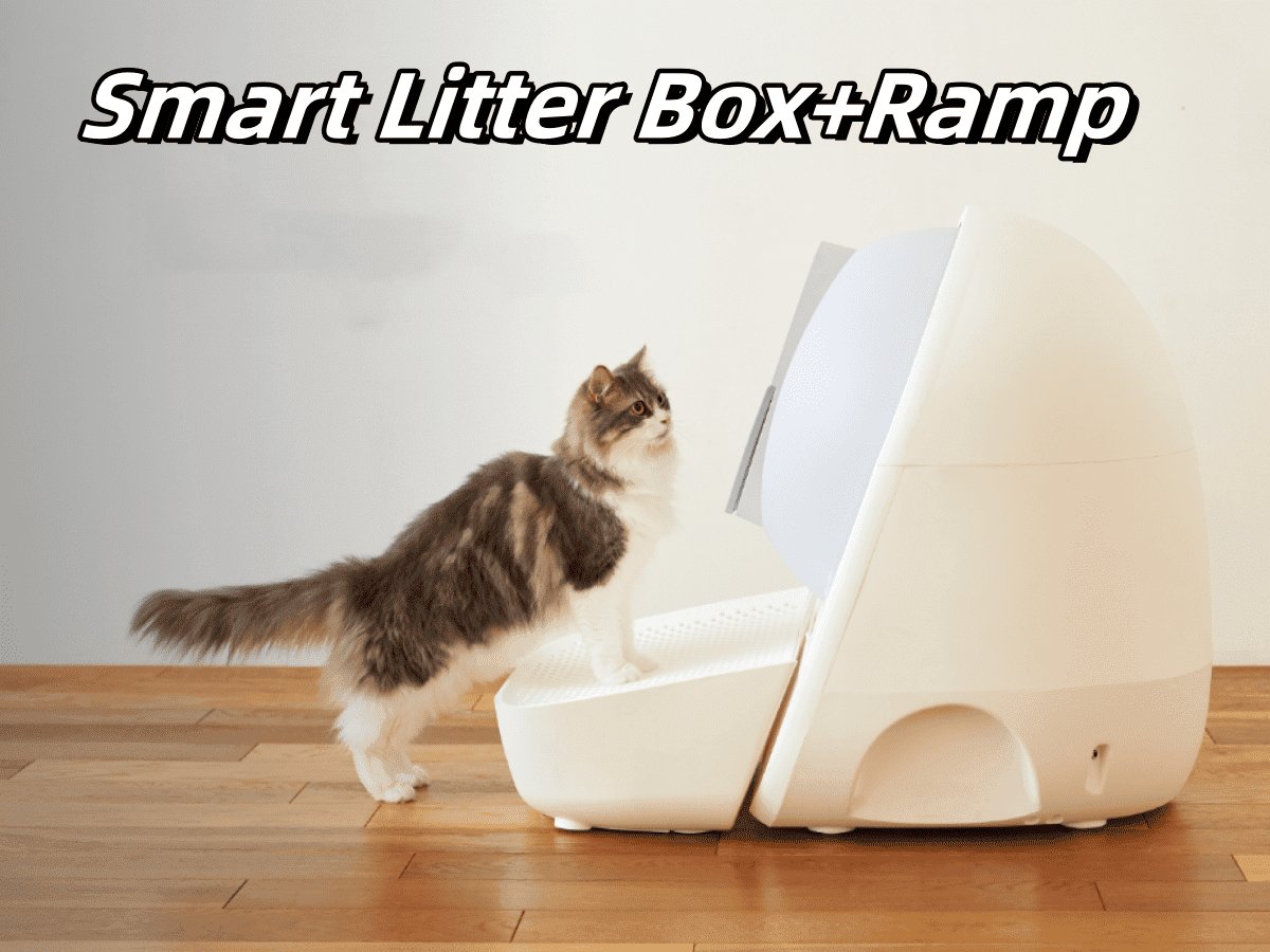 CATLINK 65L Self Cleaning Litter Box for Multiple Cats, 5GHz Camera with Real Time Monitor, Cat Litter Box with Ramp, White