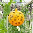 thumbnail image 4 of Fruit Fly Balls Fly Ball Trap Sticky Insect Ball Citrus Needle Wasp Yellow Best Z1A2 Anti Mosquito Repelente De Mosquitos, 4 of 8