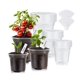 thumbnail image 1 of WandaQueen 30 paquetes de macetas transparentes para plantas de 3,5/4/5 pulgadas de plástico de alta transparencia con agujeros de drenaje incluye 20 etiquetas, 1 of 7