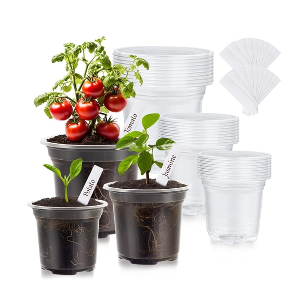 WandaQueen 30 paquetes de macetas transparentes para plantas de 3,5/4/5 pulgadas de plástico de alta transparencia con agujeros de drenaje incluye 20 etiquetas