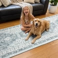 thumbnail image 5 of ARJINCUTE Boho Vintage Distressed Long Runner Rug Gray 2'x10', Soft Machine Washable Foldable Non-Slip Carpet for Hallway Kitchen Entryway Living Room Bedroom, 5 of 9