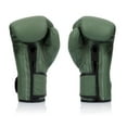 thumbnail image 2 of Fairtex BGV11 F Day Muay Thai Boxing Glove, 2 of 5